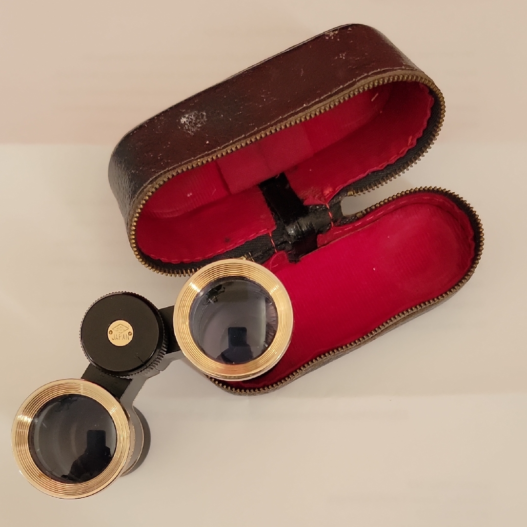 Vintage Opera Glasses With Case